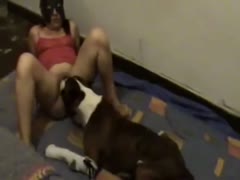 Hot housewife sucked by her dog 